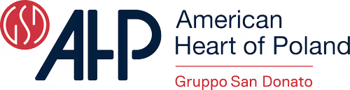Logo AHP Wersja rozszerzona